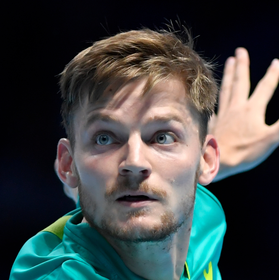 David Goffin